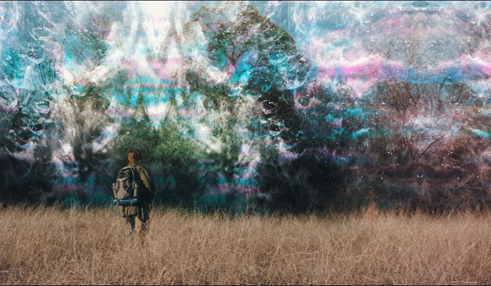 Secured Area Z: Only Humans Allowed